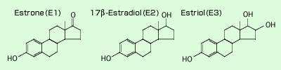 エストロゲンの構造